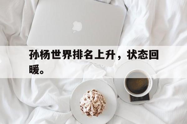 爱游戏网页版入口-孙杨世界排名上升，状态回暖。