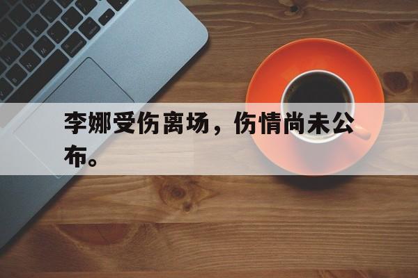 爱游戏网页版入口-李娜受伤离场，伤情尚未公布。