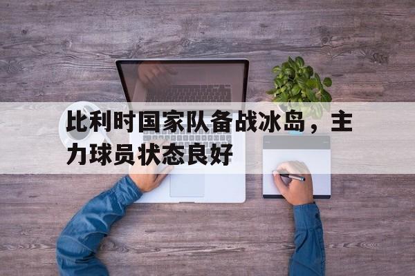 比利时国家队备战冰岛，主力球员状态良好