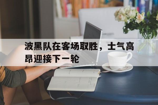 波黑队在客场取胜，士气高昂迎接下一轮